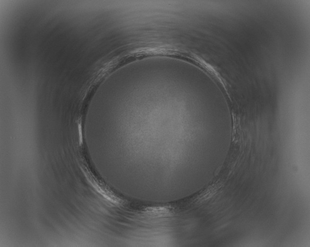 X0000054380061200507291128