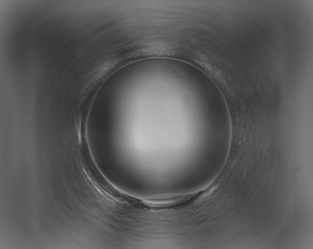 X0000054380062200507291128