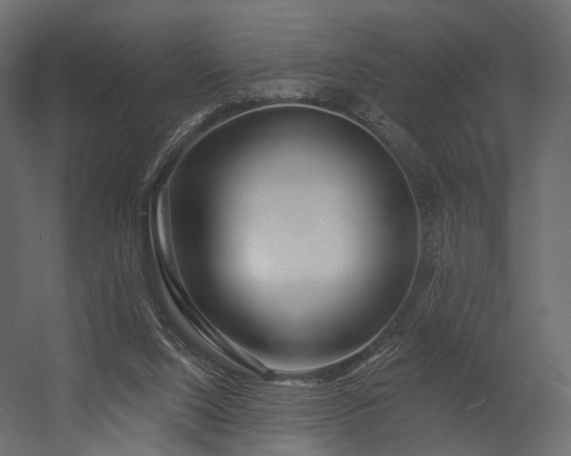 X0000054380064200507291128