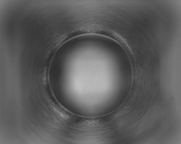 X0000054380065200507291128