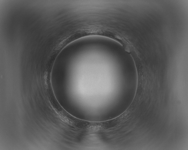X0000054380066200507291128