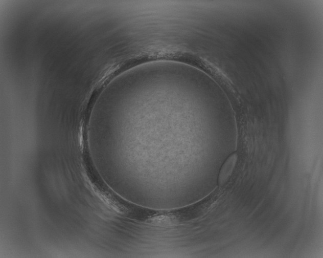 X0000054380067200507291128