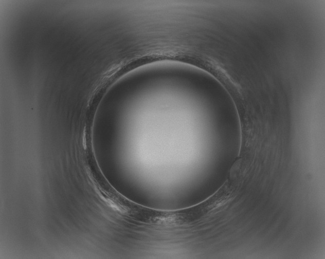 X0000054380068200507291128