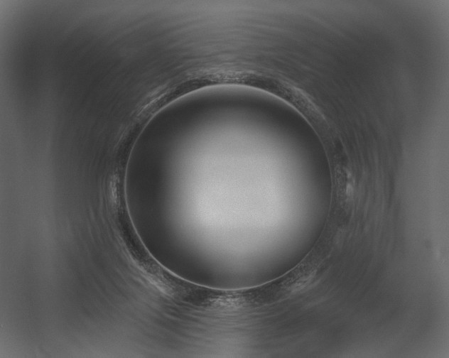 X0000054380071200507291128