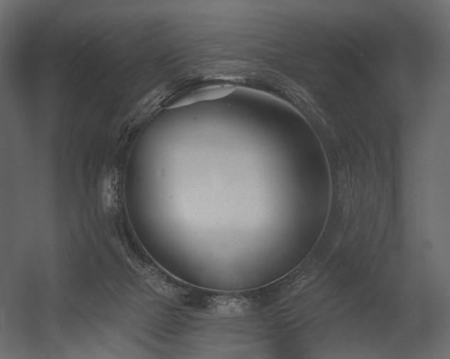 X0000054380073200507291128