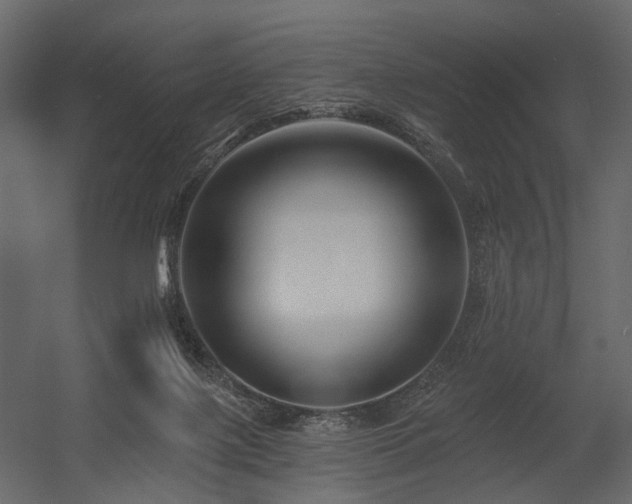 X0000054380075200507291128
