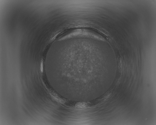 X0000054380076200507291128