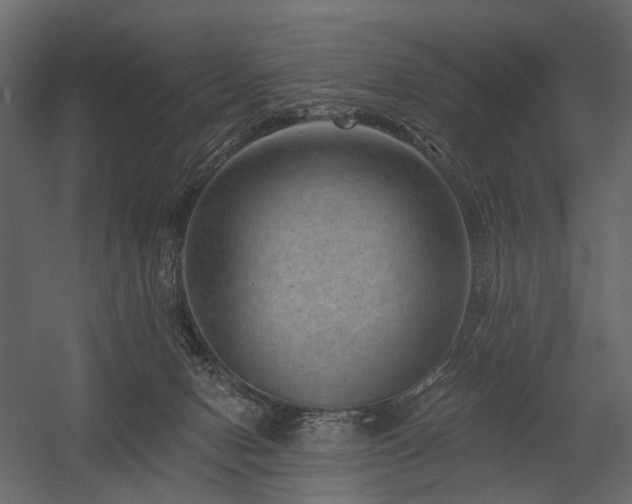 X0000054380078200507291128