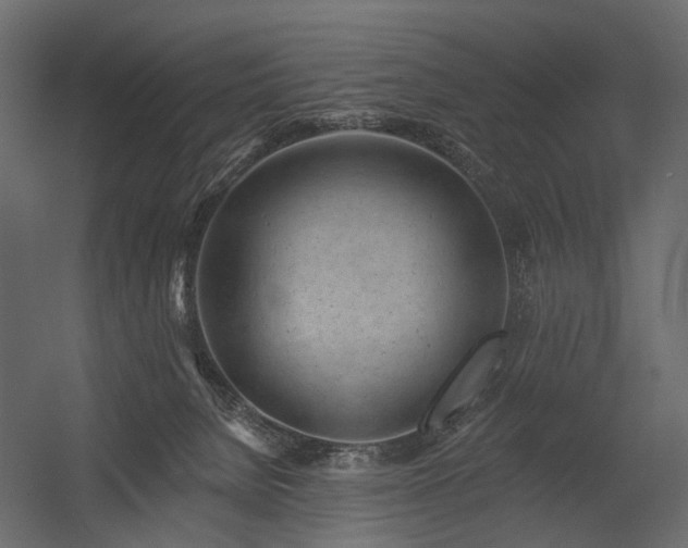 X0000054380080200507291128