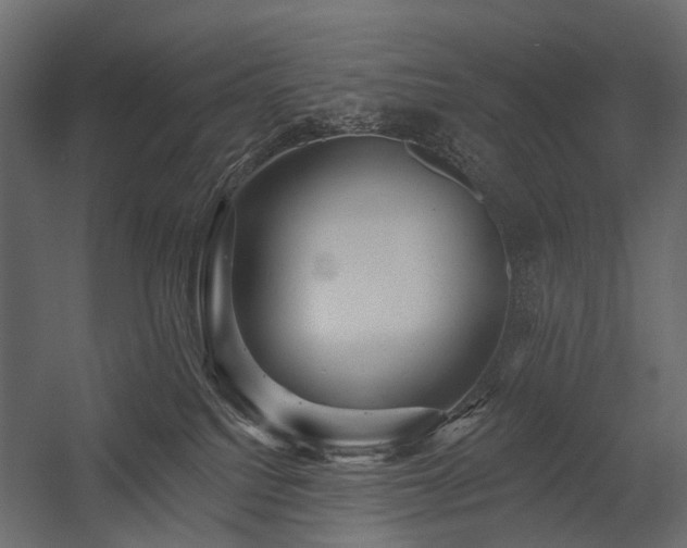 X0000054380088200507291129