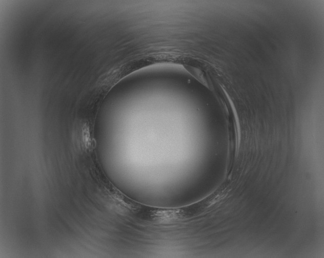 X0000054380089200507291129