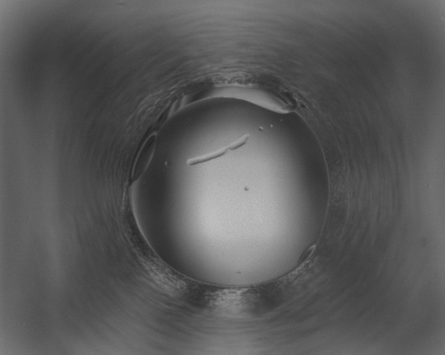 X0000054380090200507291129