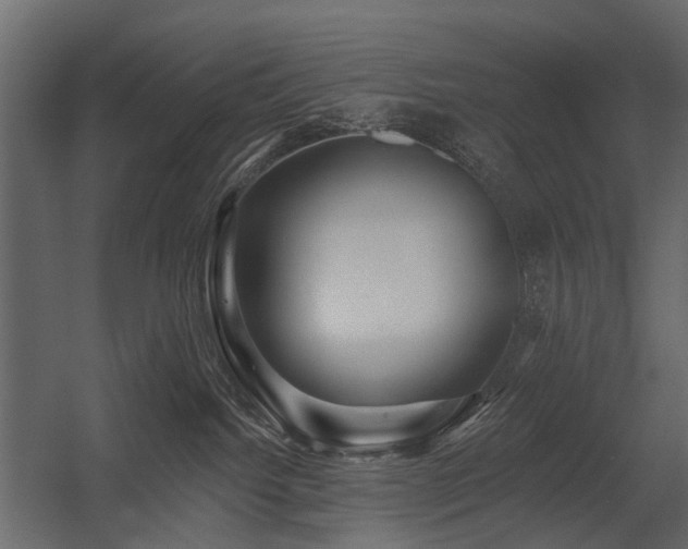 X0000054380092200507291129