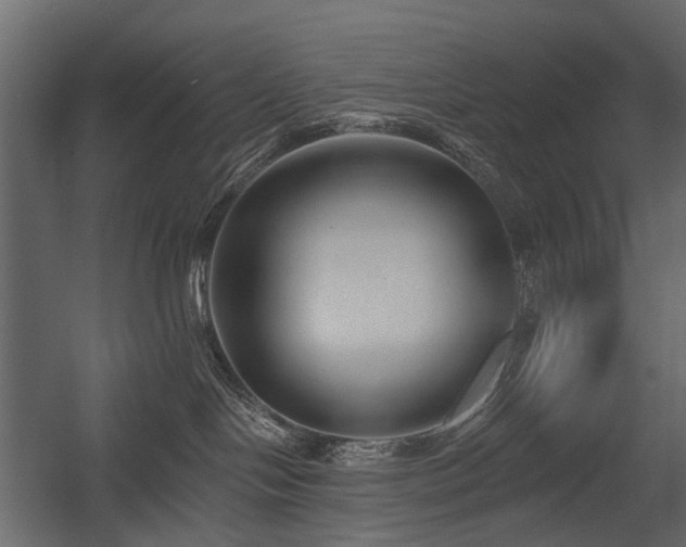 X0000054380094200507291129