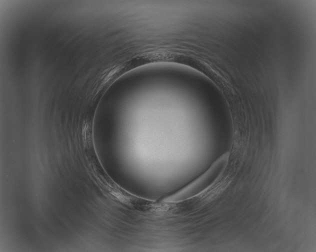 X0000054380096200507291129