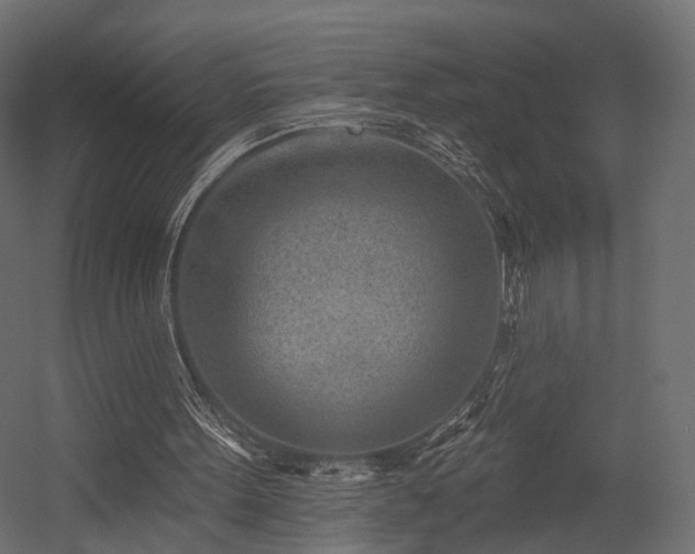 X0000054380099200507291128