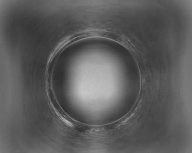 X0000054380101200507291128