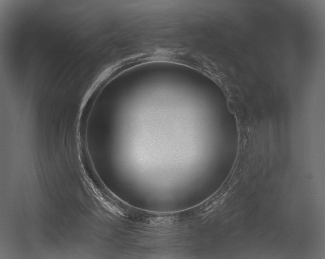 X0000054380102200507291128