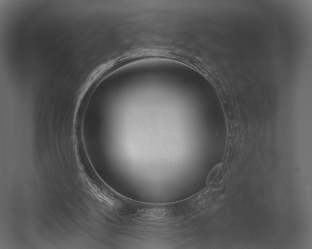 X0000054380104200507291128