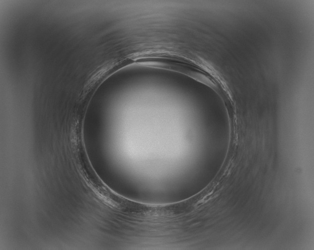 X0000054380105200507291128