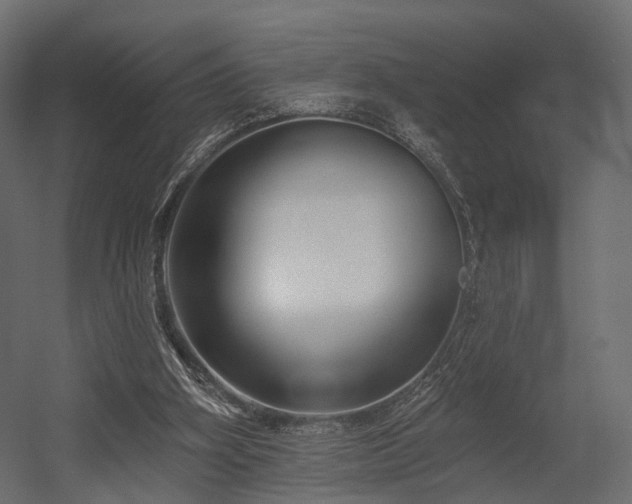 X0000054380106200507291128