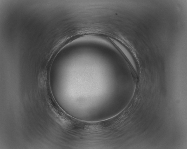X0000054380107200507291128