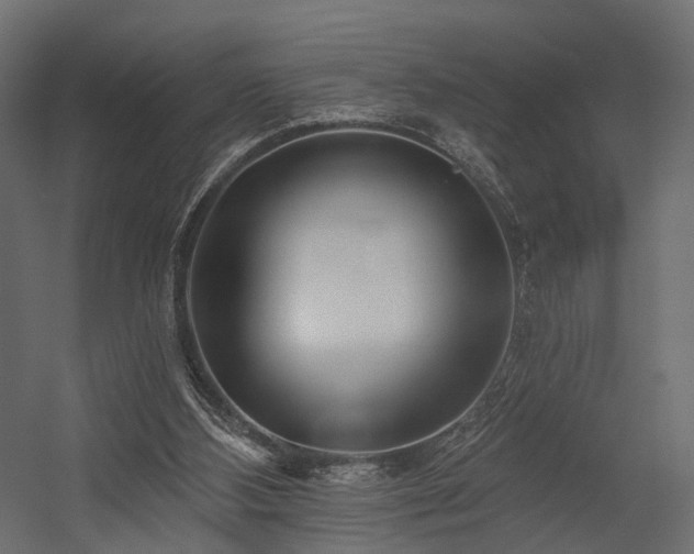 X0000054380108200507291128