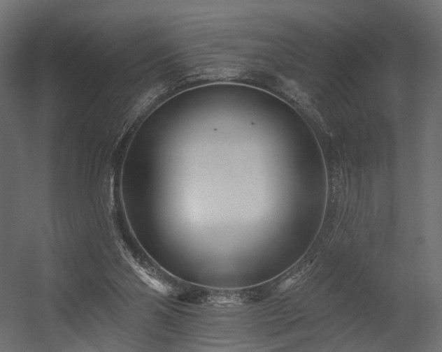 X0000054380110200507291128