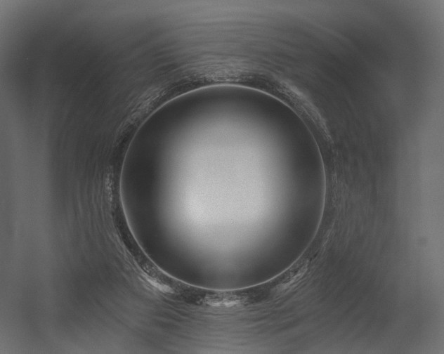X0000054380113200507291128