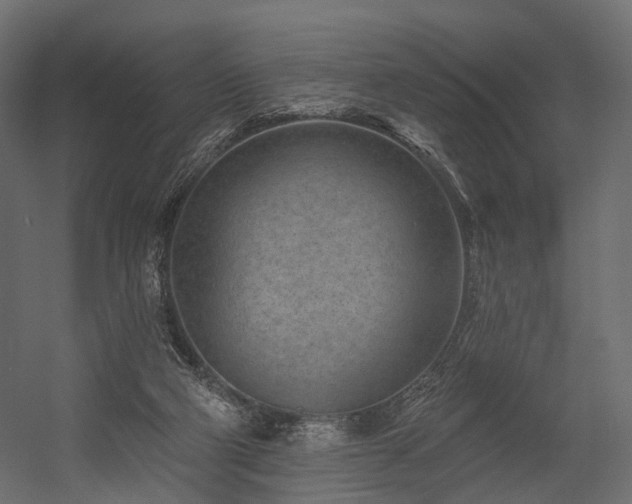 X0000054380114200507291128