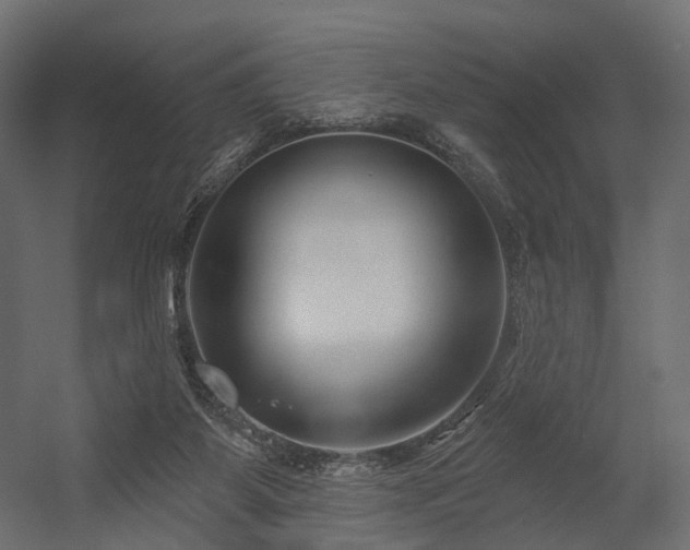 X0000054380115200507291128