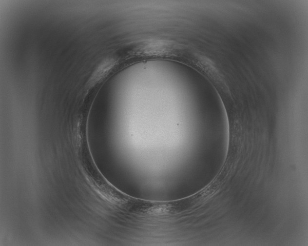 X0000054380116200507291128