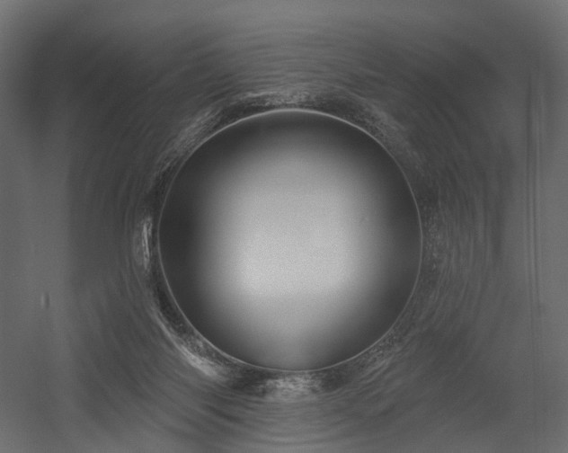X0000054380118200507291128
