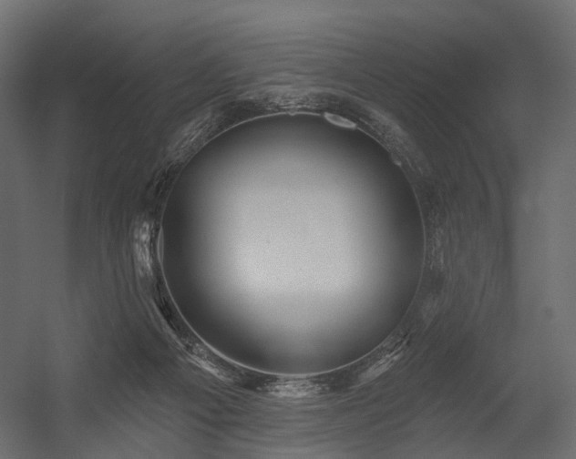 X0000054380121200507291127
