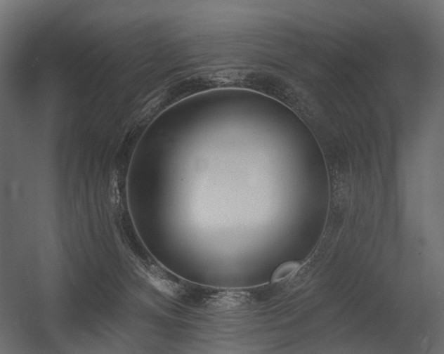 X0000054380128200507291127