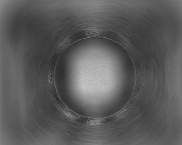 X0000054380134200507291127
