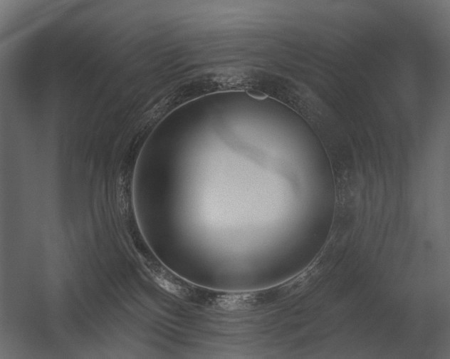 X0000054380136200507291127