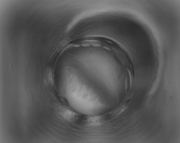 X0000054380143200507291127