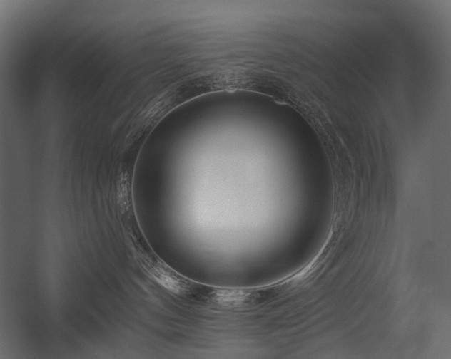 X0000054380144200507291127