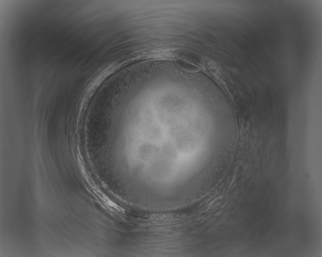 X0000054380145200507291126