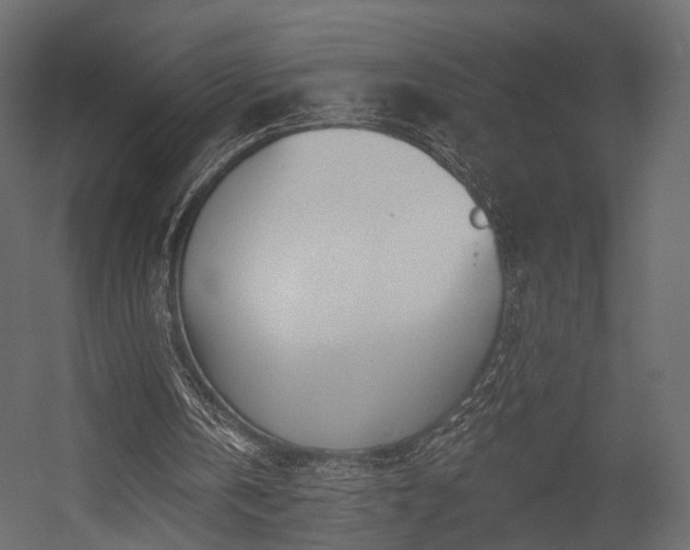 X0000054380146200507291126