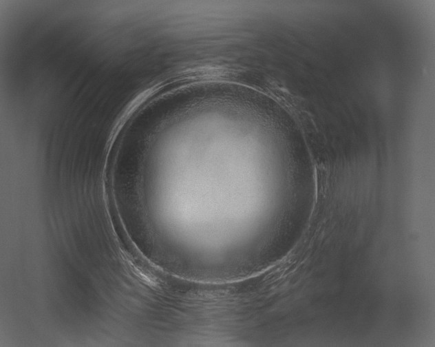 X0000054380147200507291126