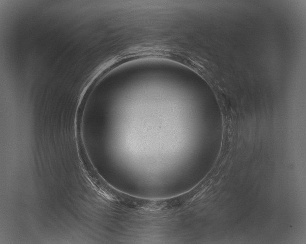 X0000054380148200507291126