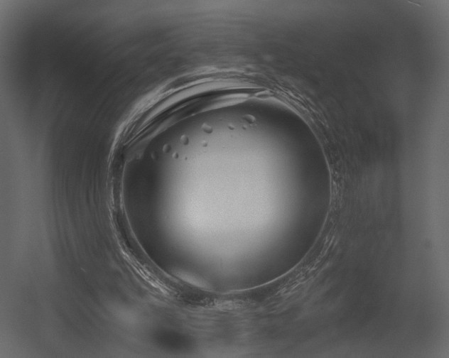 X0000054380149200507291126