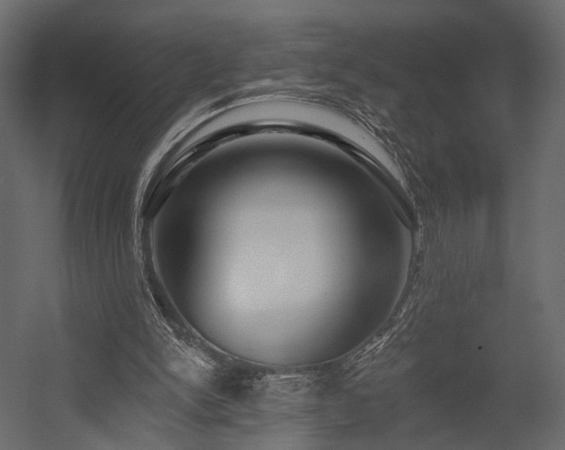 X0000054380150200507291126