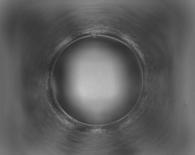 X0000054380153200507291126