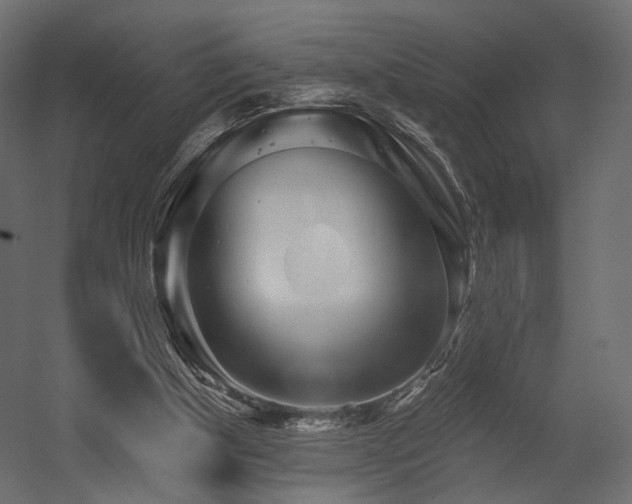 X0000054380154200507291126