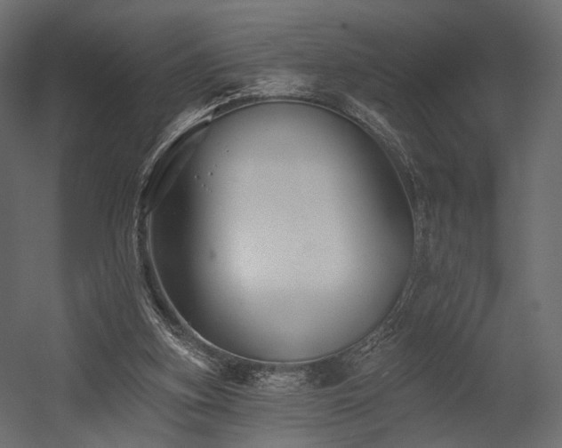 X0000054380155200507291126