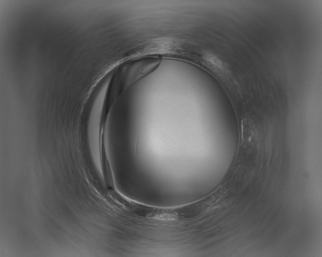 X0000054380156200507291126