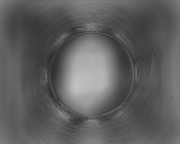 X0000054380157200507291126